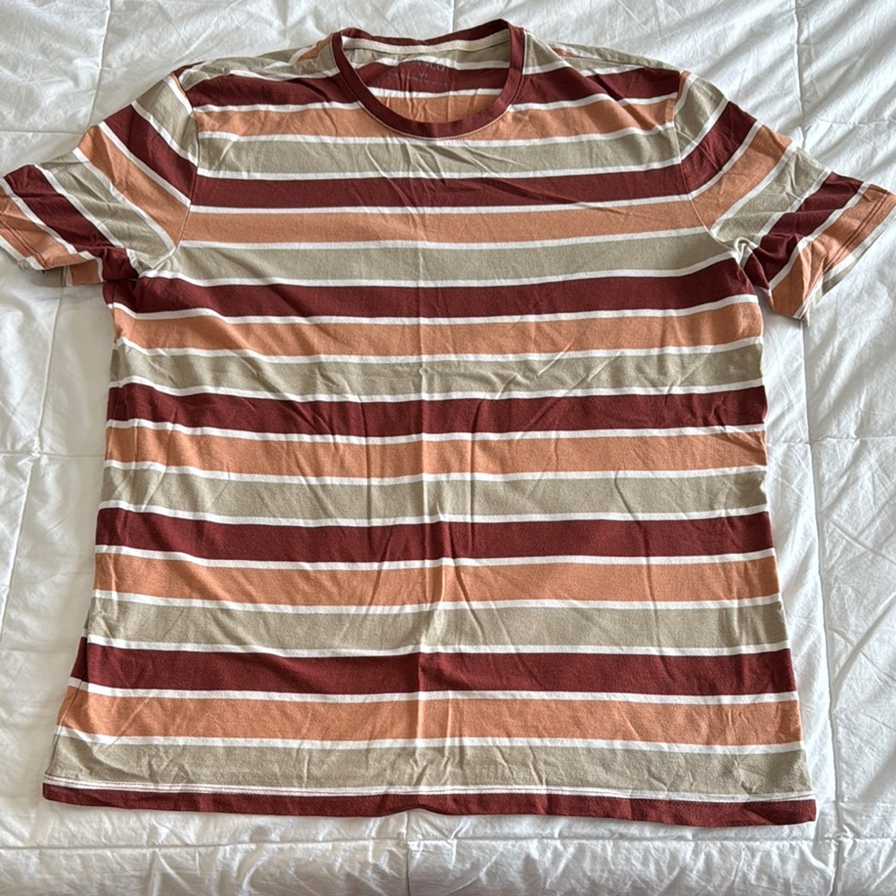Striped T-Shirt in Earth Tones